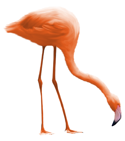 flamingo 88n